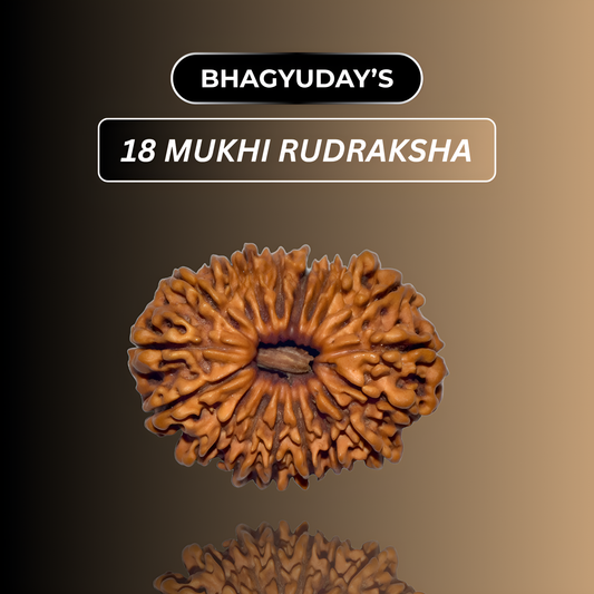 18 Mukhi Rudraksha