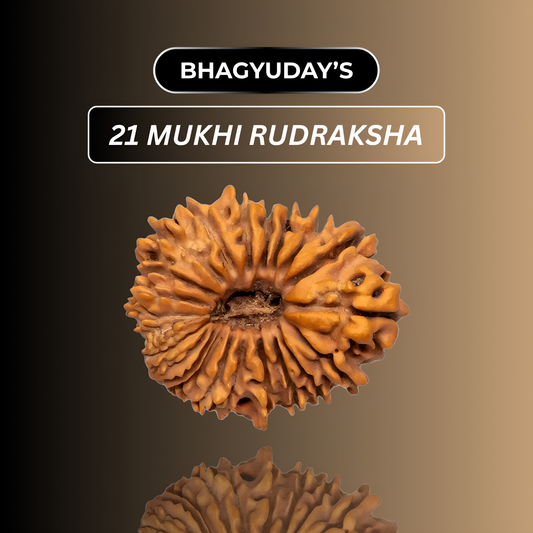 21 Mukhi Rudraksha