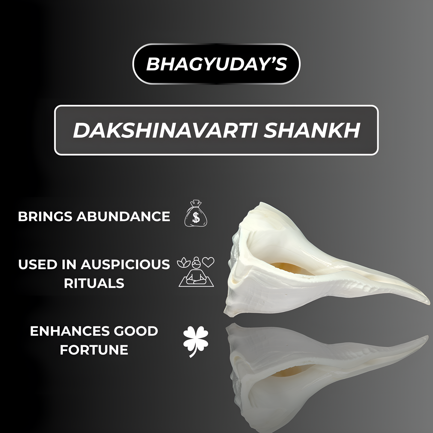 Dakshinavarti Shankh