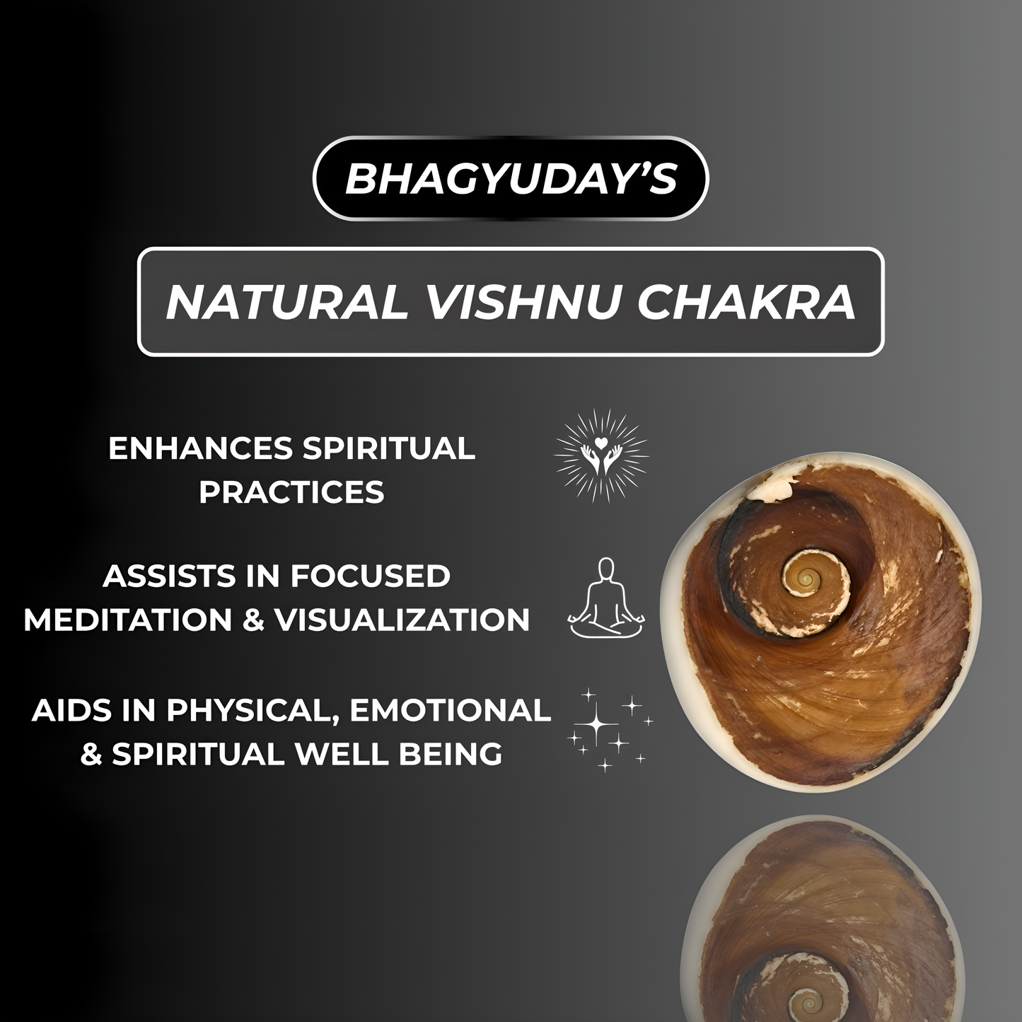 Natural Vishnu Chakra