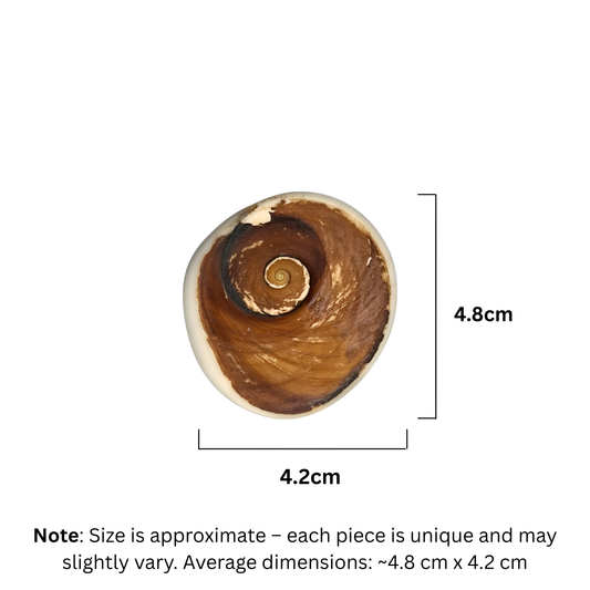 Natural Vishnu Chakra