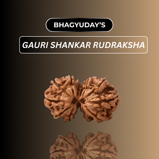 Gauri Shankar Rudraksha