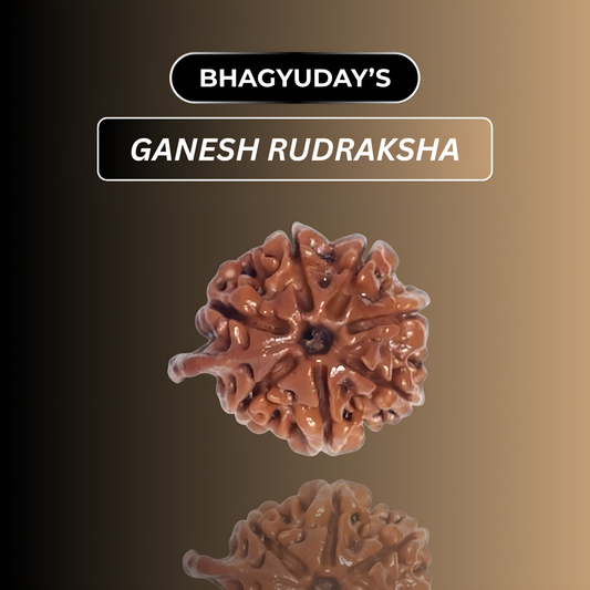 Ganesh Rudraksha